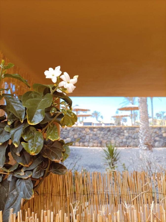 Appartement Mai Fuerteventura By Best Holidays Fuerteventura à Corralejo Extérieur photo